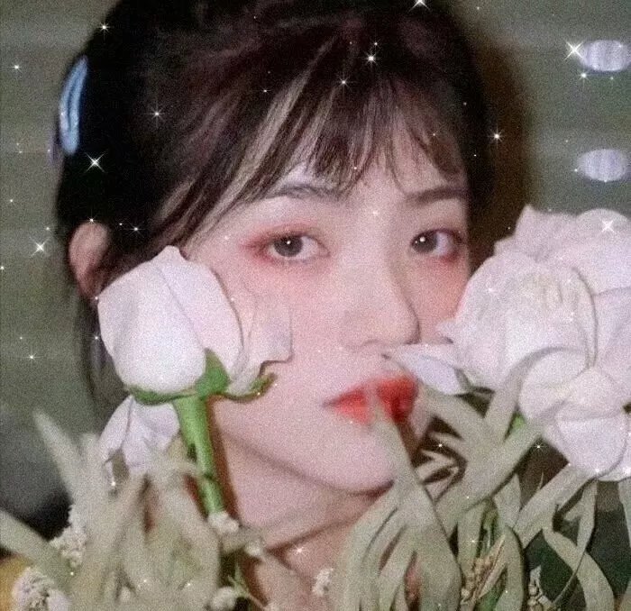 演员请就位第三季
